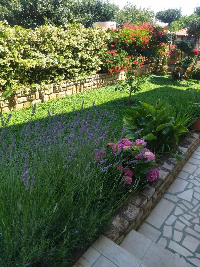 Zelena Oaza Apartment Novigrad Istria Kültér fotó