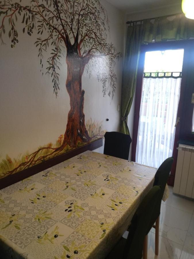 Zelena Oaza Apartment Novigrad Istria Kültér fotó