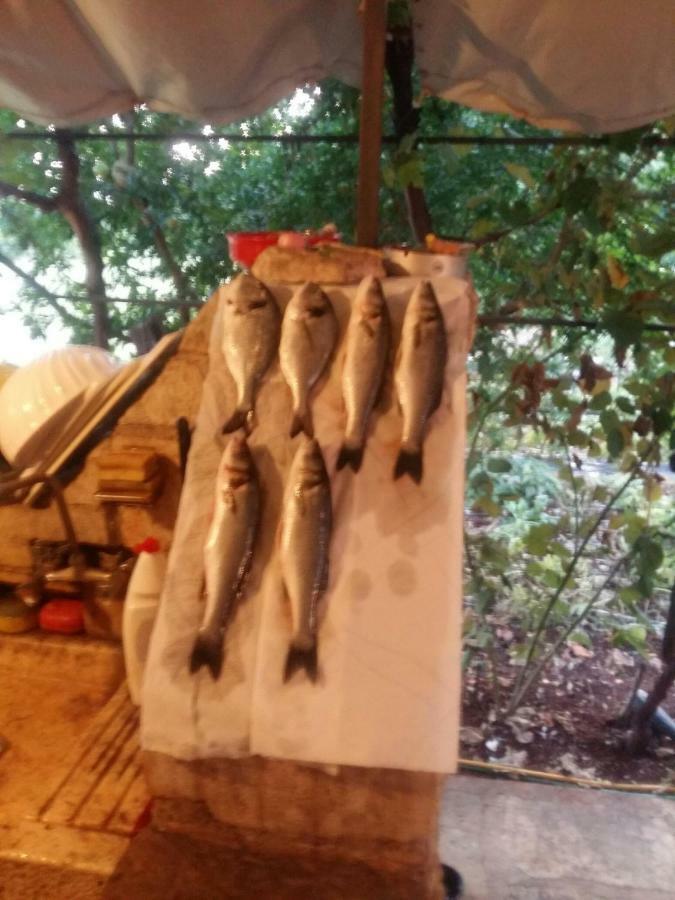 Zelena Oaza Apartment Novigrad Istria Kültér fotó