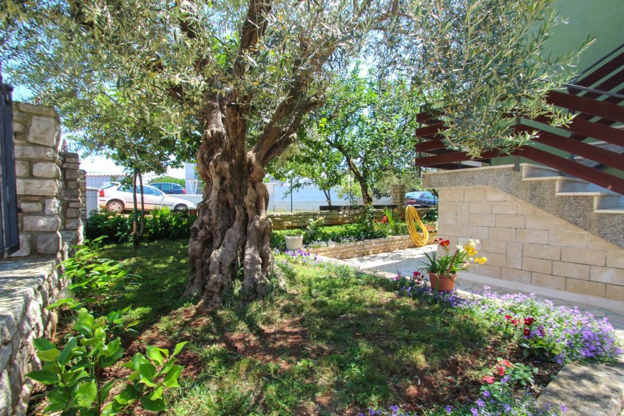 Zelena Oaza Apartment Novigrad Istria Kültér fotó