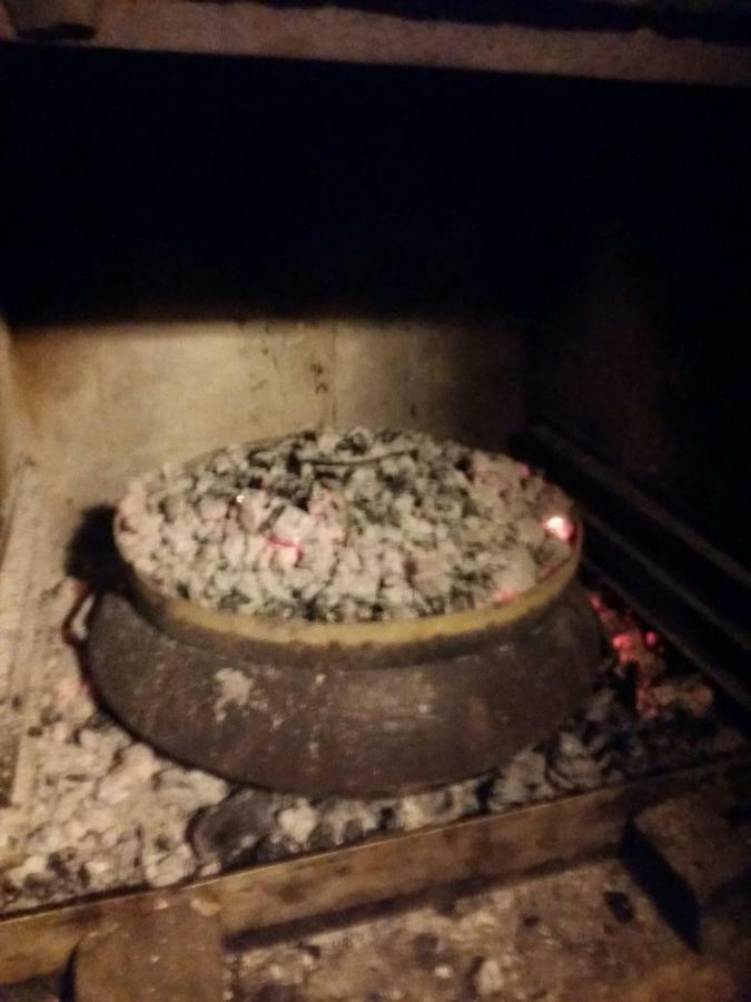 Zelena Oaza Apartment Novigrad Istria Kültér fotó